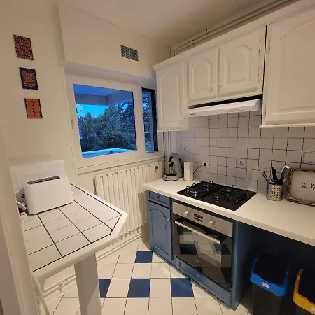 Lumineux T3 En Duplex דירה בגלס